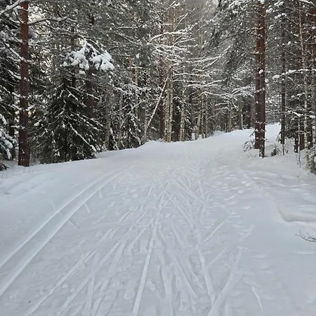 Spacious Near Santa Claus Village